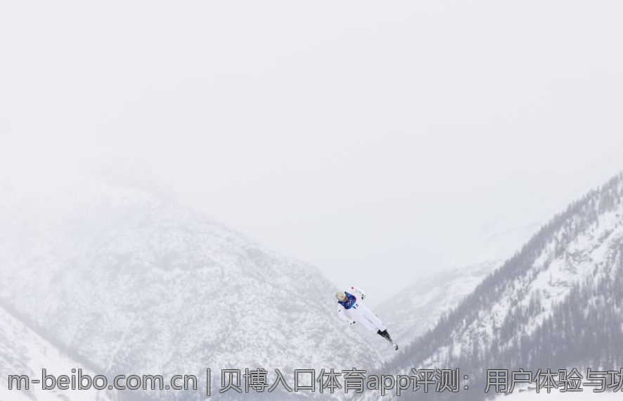 贝博入口体育app评测：用户体验与功能解读